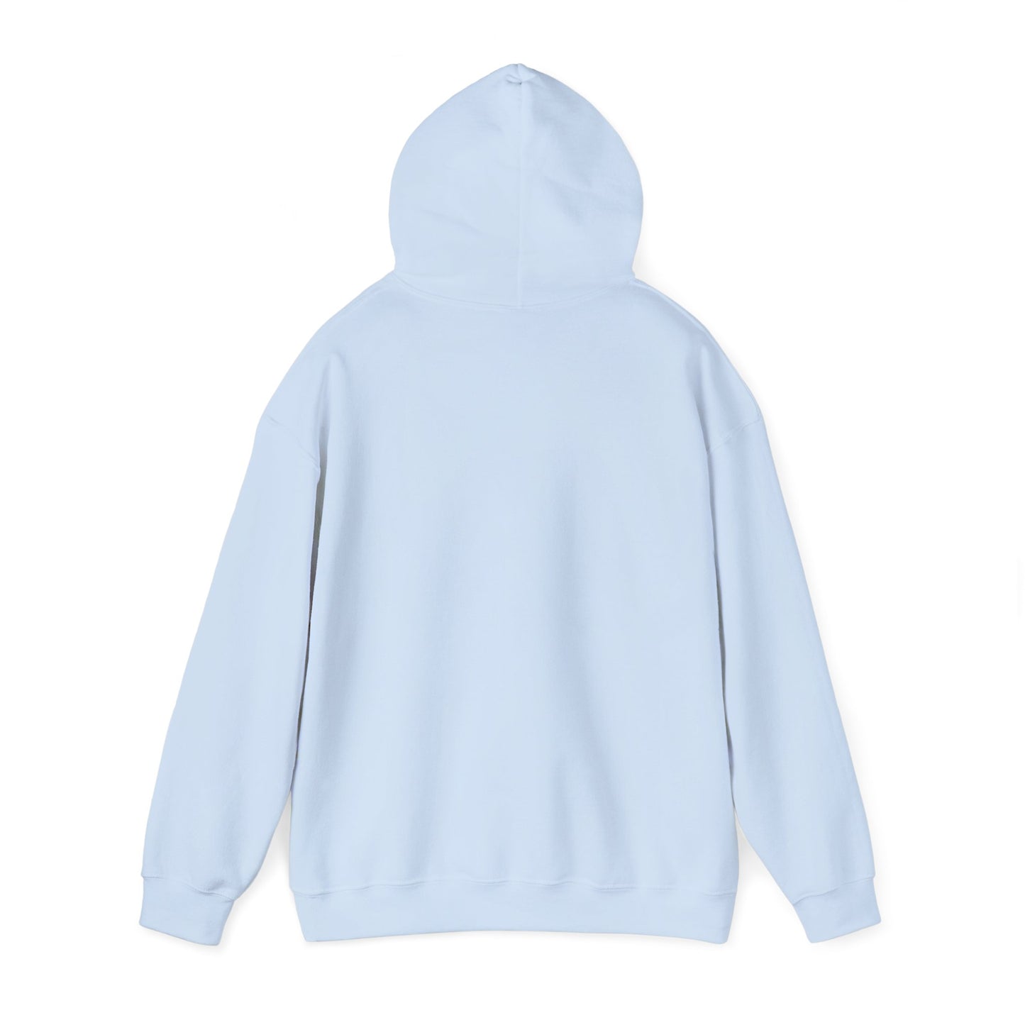 DF Unisex Heavy Blend Hoodie (12 colors)